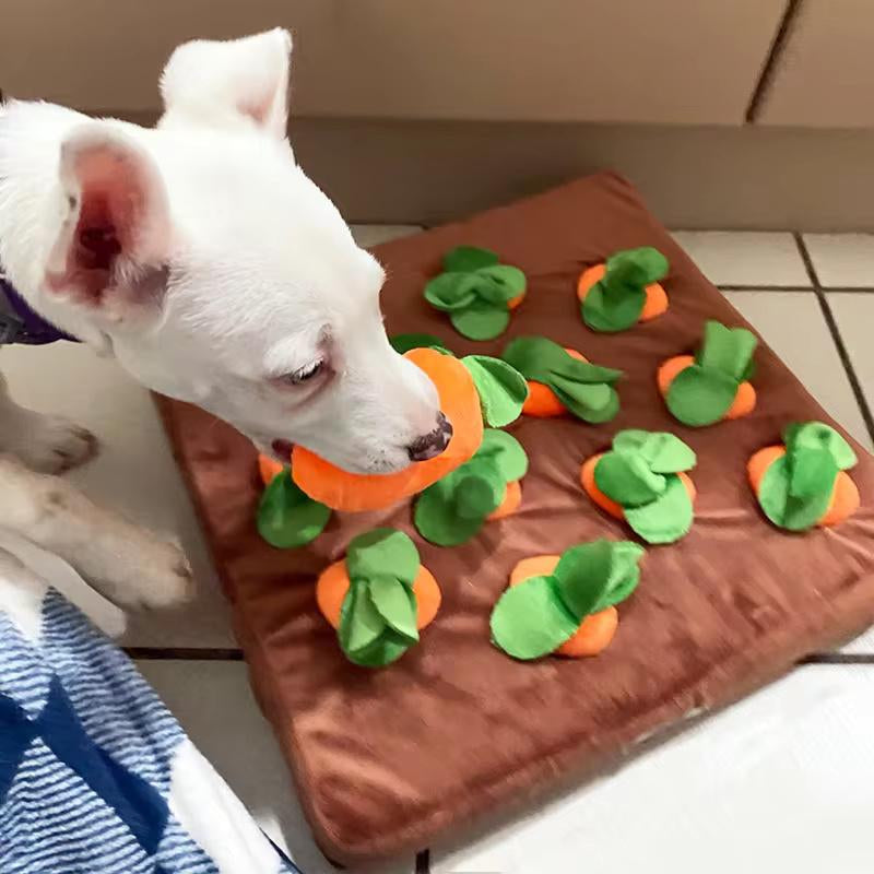 Pet Zen Interactive Carrot Snuffle Mat with 12 Squeaking Carrots Dog Puzzle Cats Toys